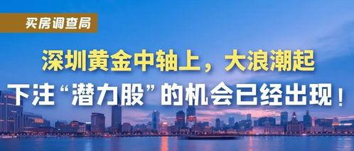 深圳大浪最新的爆料,揭秘区域发展新动向